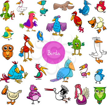 Cartoon Illustration of Birds Animal Characters Big Collection