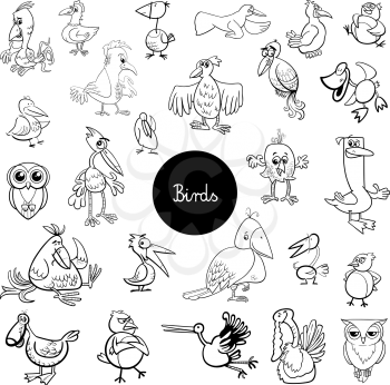 Black and White Cartoon Illustration of Birds Animal Characters Big Collection Coloring Book
