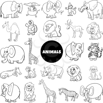 Black and White Cartoon Illustration of Wild Animal Characters Large Set Coloring Book Page