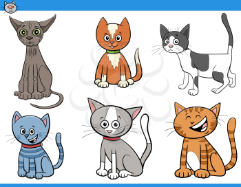 Cartoon Illustration of Funny Cats and Kittens Pet Animal Comic Characters Set