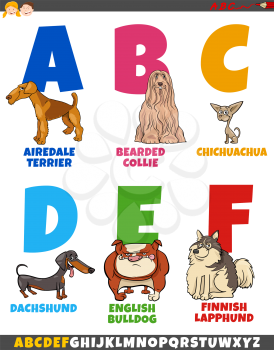 Cartoon Illustration of Colorful Alphabet Set from Letter A to F with Comic Purebred Dogs Animal Characters