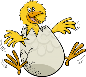 Cartoon illustration of funny little chick hatching from egg