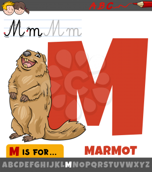 Educational cartoon illustration of letter M from alphabet with marmot animal character