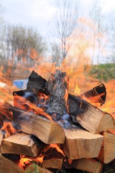 burninging firewood in campfires
