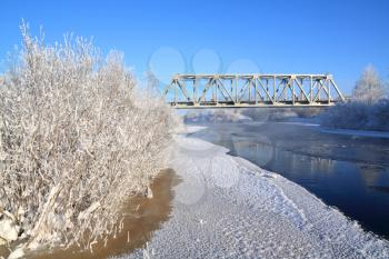 bushes in snow on coast river