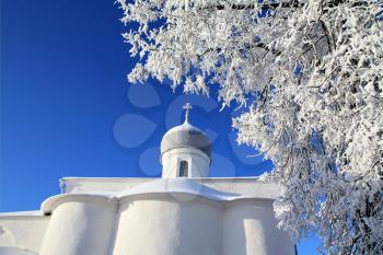 tree in snow against christian church
