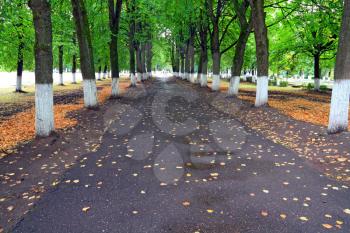 wet track in autumn park