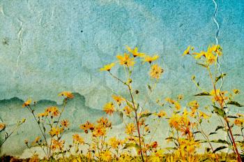 yellow field flowerses on grunge background