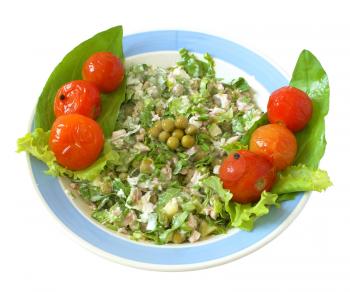 Salad from a squid with greens decorated with tinned tomatoes on a white background.                   