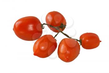 Branch of mature tomatoes on a white background.                   