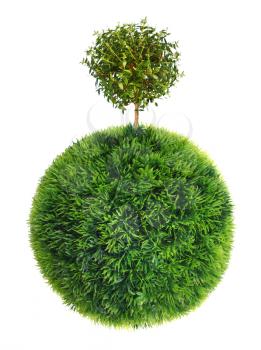 grass sphere and tree