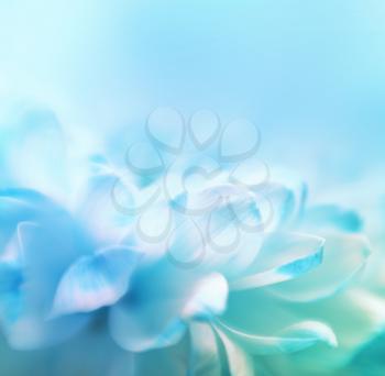 Soft focus flower background with copy space. Made wth lensbaby and macrolens.