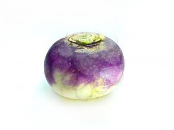 purple headed turnips  isolated on white background 