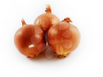 bulbs of onion vegetable on a white background 
