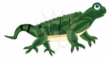 Illustration of the pangolin iguana on white background is insulated