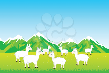Vector illustration herd sheep on year meadow
