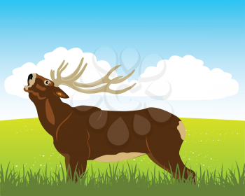 The Wild deer with horn on year field.Vector illustration