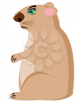 Illustration animal rodent on white background is insulated