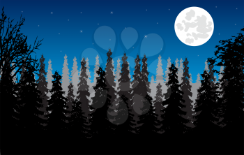 Wild landscape with wood and moon in the night