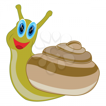 Cartoon of the snail on white background is insulated