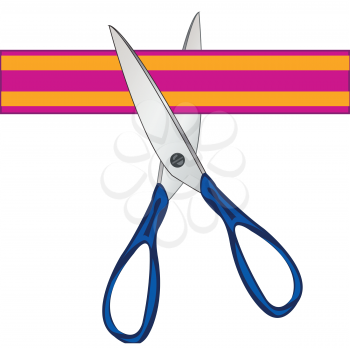 Tools scissors for haircut hair on white background is insulated