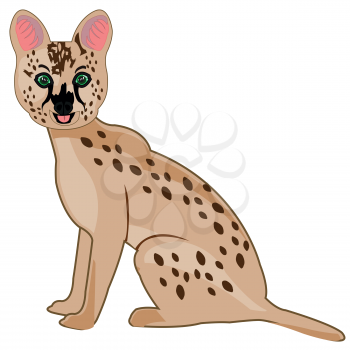 Vector illustration of the african wild cat serval