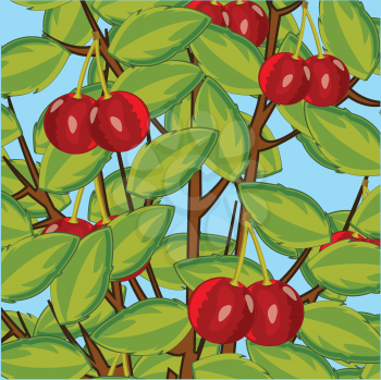 Vector illustration fruit ripe sweet cherries on tree