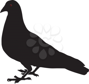 Royalty Free Clipart Image of a Silhouette of a Pigeon
