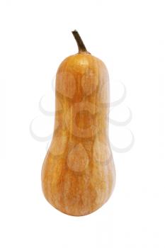Royalty Free Photo of a Gourd