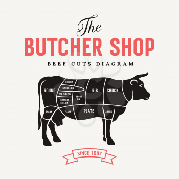 Beef cuts diagram, vector illustration for butcher shop and Farm Market