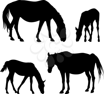  Vector silhouettes of horses and foals isolated on white