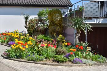 Beautiful flower bed with tulips, bushes and yucca. Flowerbed in front of a house