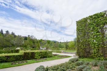 Trimmed hedge shrub in a European public park in Baden Baden