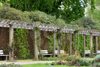 Long pergola with rose climbing plants in a European public park in Baden Baden