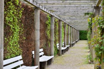 Long pergola with rose climbing plants in a European public park in Baden Baden