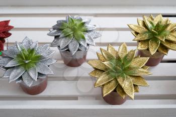 Succulents painted in golden and silver spangles, against a white wooden shelf