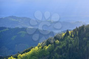 Landscape with coniferous forest and hills in the European forest of Schwarzwald, Germany. The concept of ecology, tourism