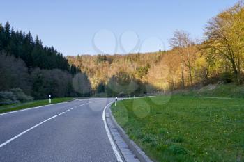 Spring landscape with a road between trees, sunny day and blue sky in the German forest Schwarzwald
