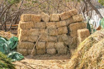 Hay stack, dry hay is piled up in the farmland. Agricultural scenarios.