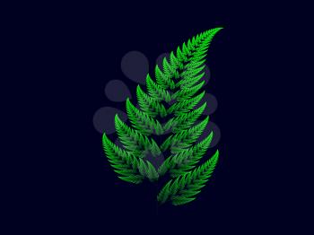 Colour Barnsley set fern abstract fractal illustration useful as a background