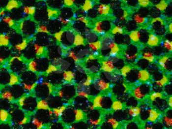 Light photomicrograph of colour halftone print dots seen through a microscope