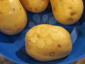 potato (Solanum tuberosum) vegetables vegetarian and vegan food