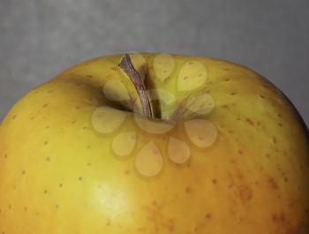 yellow apple (Malus domestica) fruit vegetarian food