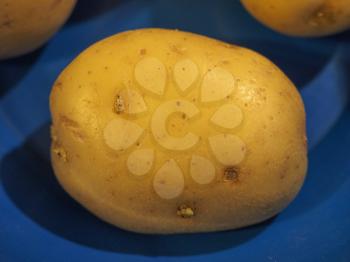 potato (Solanum tuberosum) vegetables vegetarian and vegan food