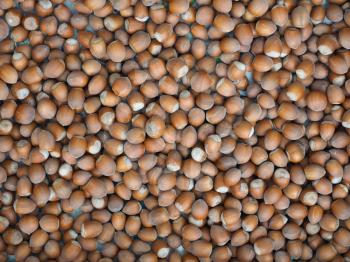 hazelnuts nuts food useful as a background