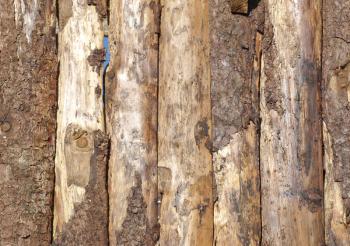 Old wood logs or plank board background
