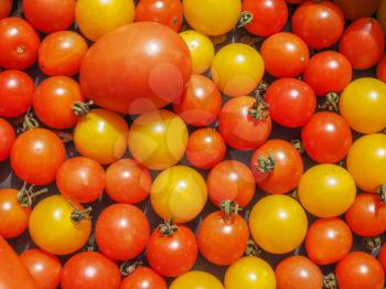 Cherry tomatoes (Solanum lycopersicum) vegetables, vegetarian food