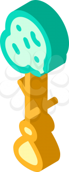 seedling tree isometric icon vector. seedling tree sign. isolated symbol illustration