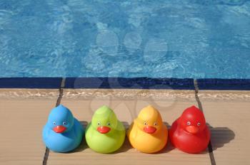 Royalty Free Photo of Rubber Ducks