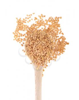 Royalty Free Photo of a Spoonful of Fenugreek Seeds